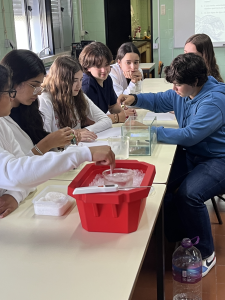 ECOESCOLA